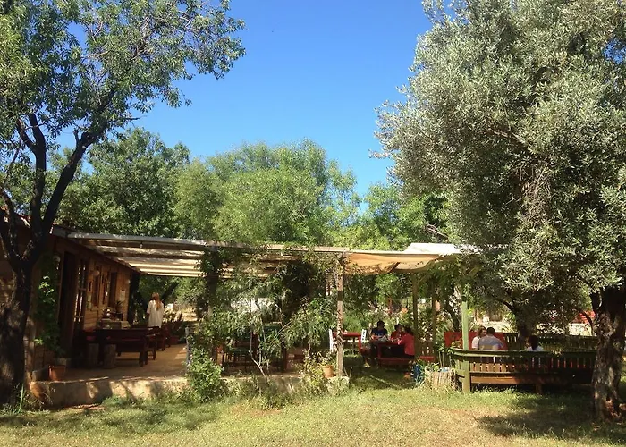 فندق مبيت وإفطار Narnia كاس