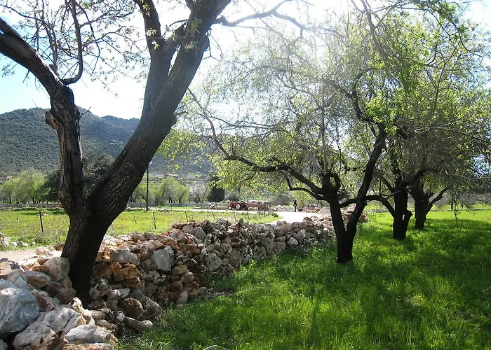 Narnia فندق مبيت وإفطار