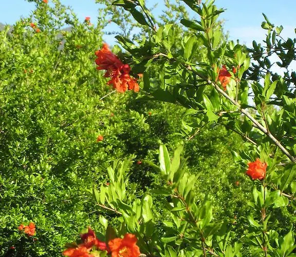 فندق مبيت وإفطار Narnia كاس