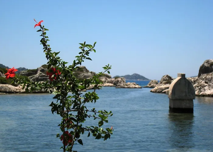 فندق مبيت وإفطار Narnia كاس