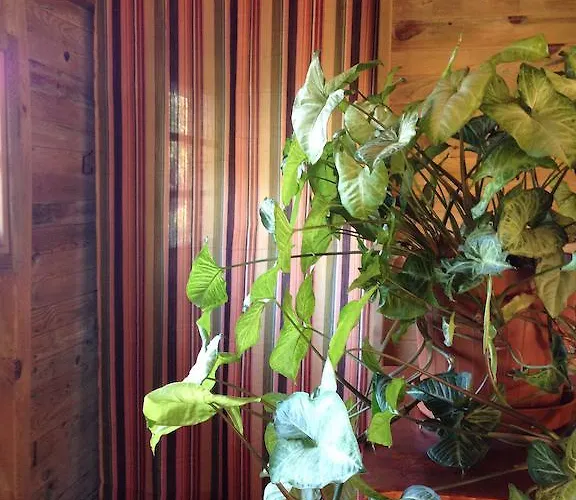 Narnia فندق مبيت وإفطار