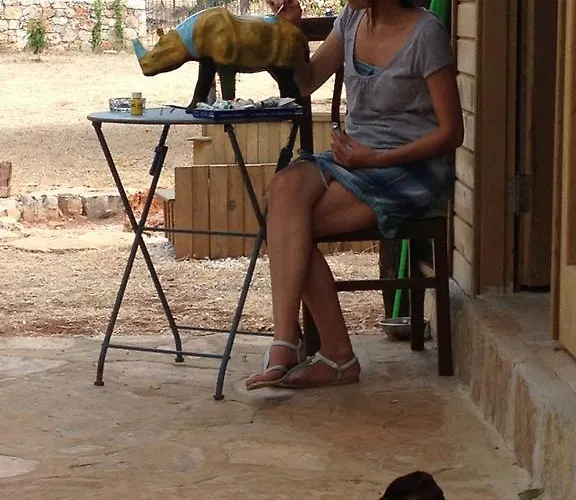 Narnia فندق مبيت وإفطار كاس