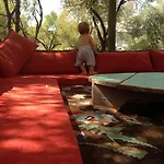Narnia كاس