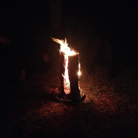 לינה וארוחת בוקר Narnia קס
