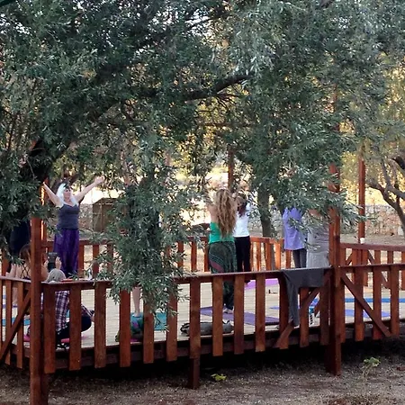 Narnia קס