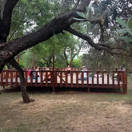 Narnia * קס