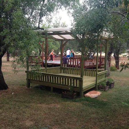 Narnia * קס